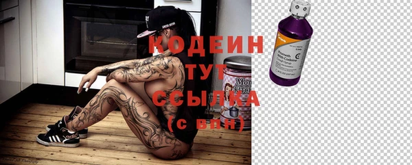 крисы Бугульма