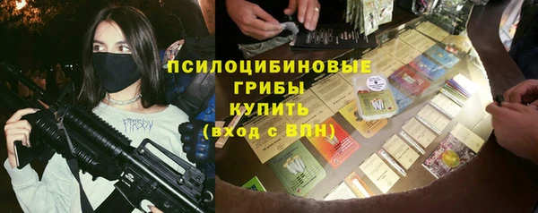 мдпв Вязьма