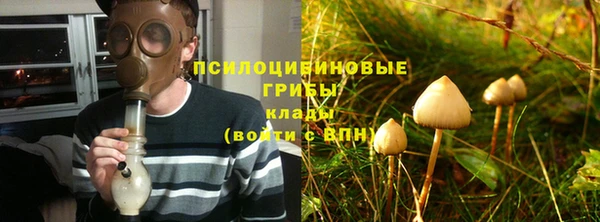 мдпв Вязьма